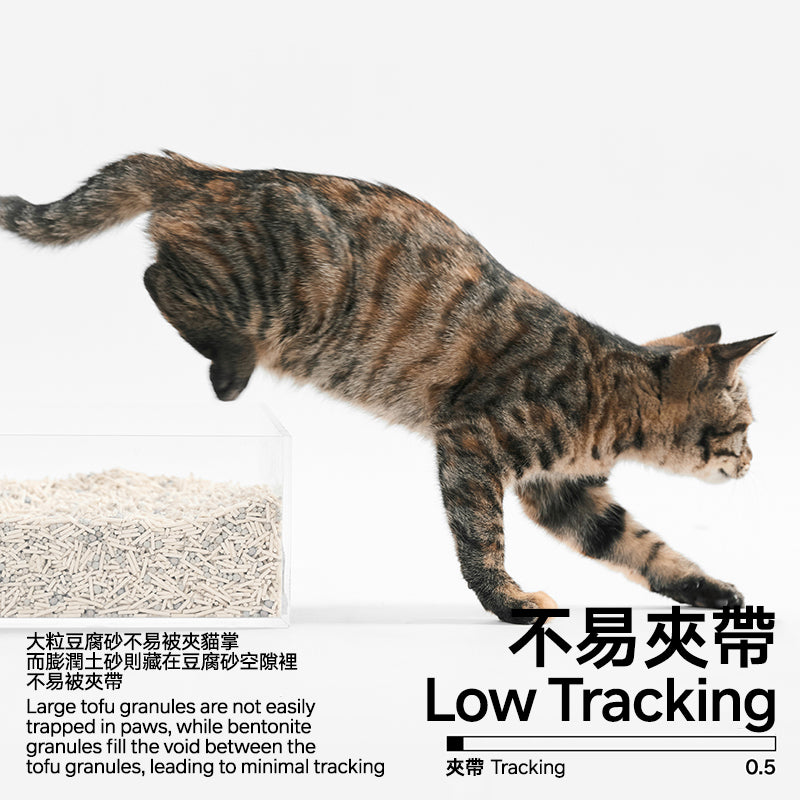 Cat walking on a white background with text about low tracking cat litter.