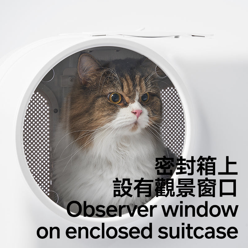 Ventilated Pet Carrier Suitcase (Charity Sale)