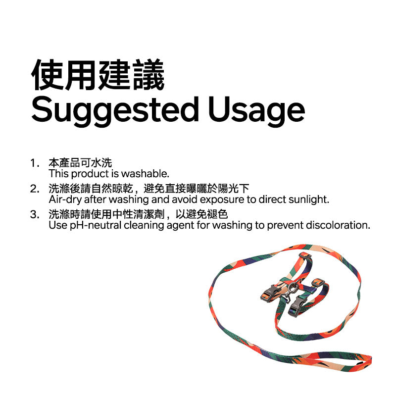 Cat Harness and Leash Set - Multicolour (Charity Sale)