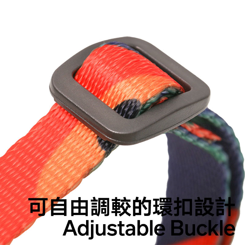 Cat Harness and Leash Set - Multicolour (Charity Sale)