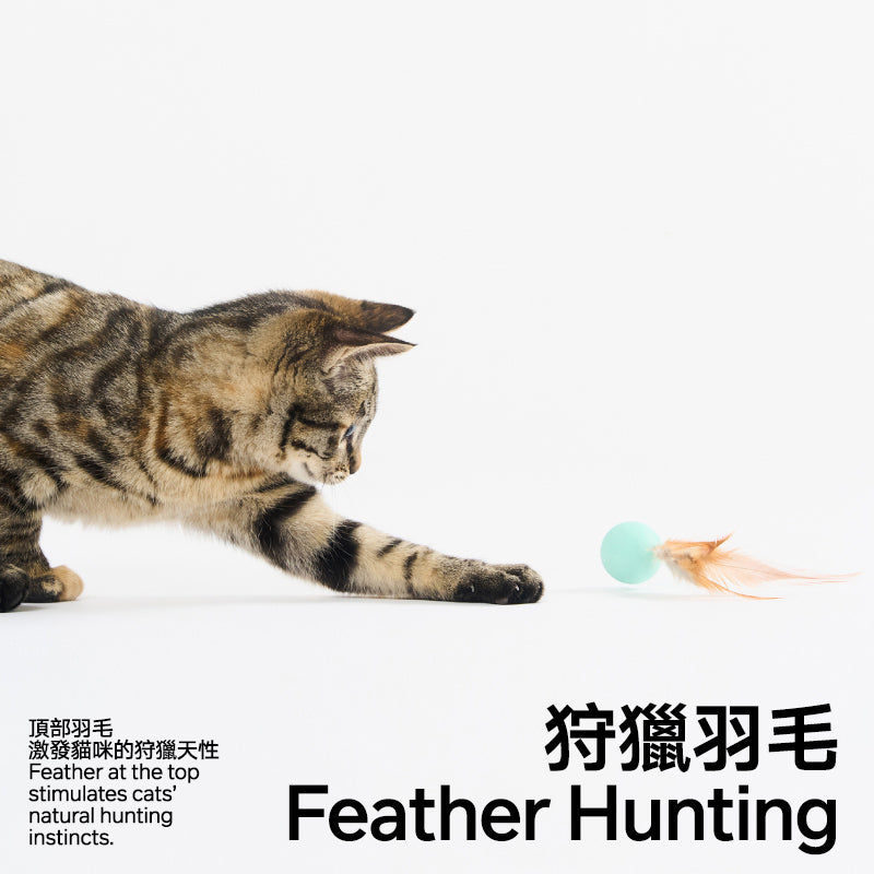 3件裝彈波