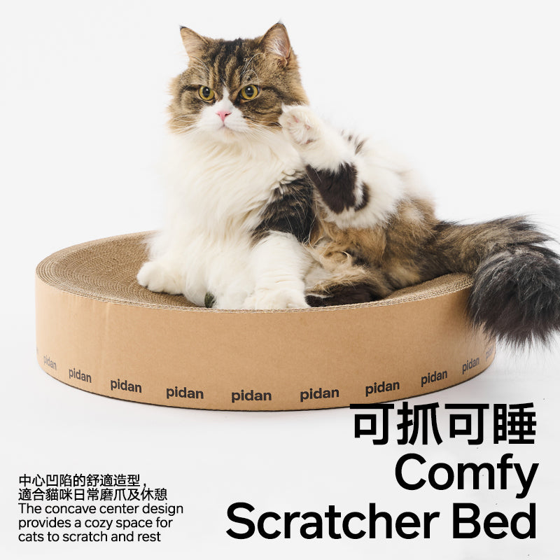 Scratching Board - Round (Charity Sale)
