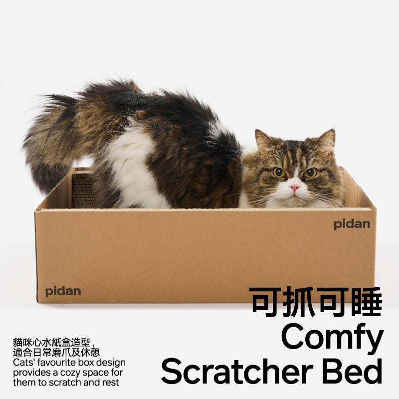 Scratching Board - Box-shaped (Charity Sale)